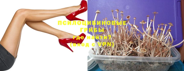 соль ск Алексеевка