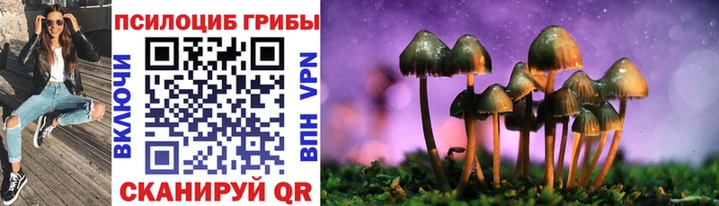 Купить закладки  Спас-Деменск  Псилоцибиновые грибы Magic Shrooms 