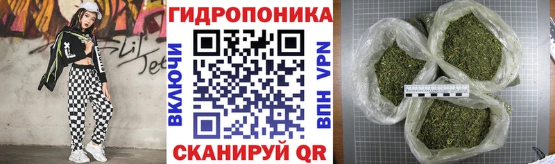 Бошки Шишки семена  Купить где  Спас-Деменск 